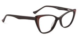 Candace Cat eye Brown Glasses3