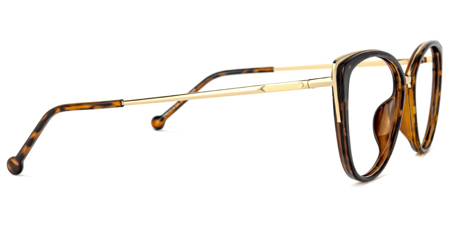 Buy Agnew Optical Glasses and EyeWear Frames on Zeelool3