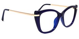 Wesby Cateye Dark-Blue Glasses2