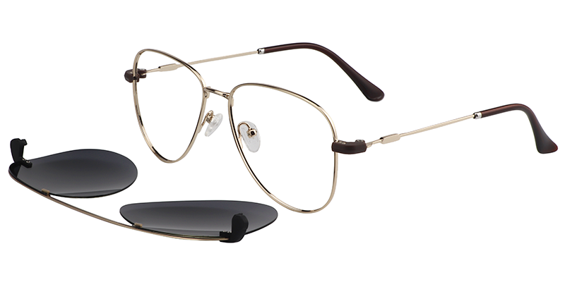 Clip-On Silver Glasses1