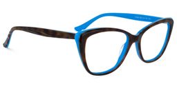 Dane Tortoise Cat Eye Glasses2