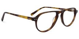 Donovan Geometric Tortoise Glasses2