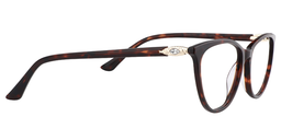 Imogene Oval Tortoise Glasses4