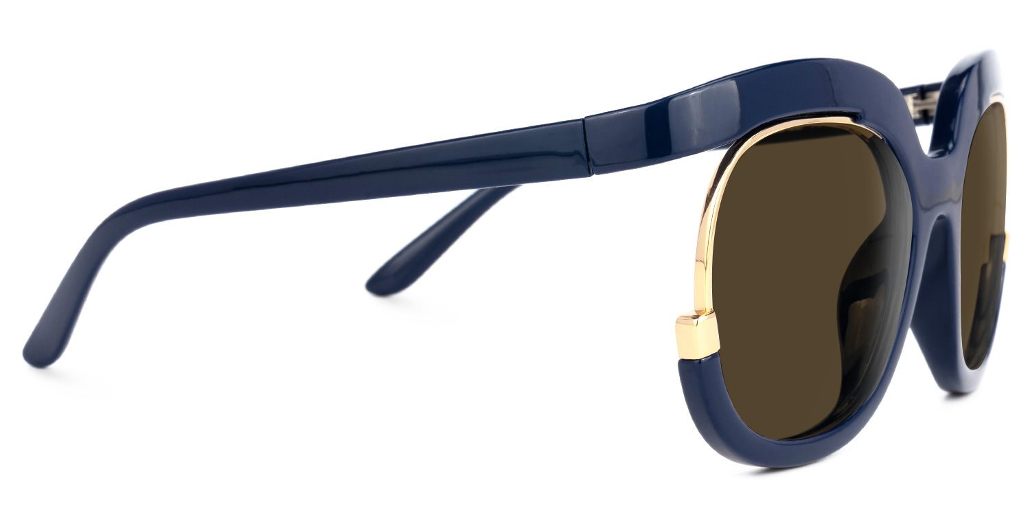 Darice Dark-Blue Frame Sunglasses with Round Style | ZEELOOL UK2