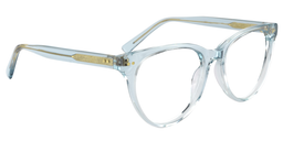 Agnes Oval Blue Clear Glasses2