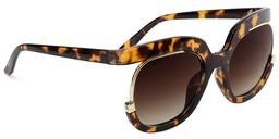 Sean Round Tortoise Sunglasses3