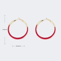 Stylish Annulus Shape Red Earrings3