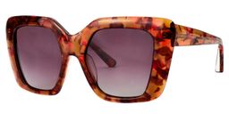 Caesar Square Brown Sunglasses3
