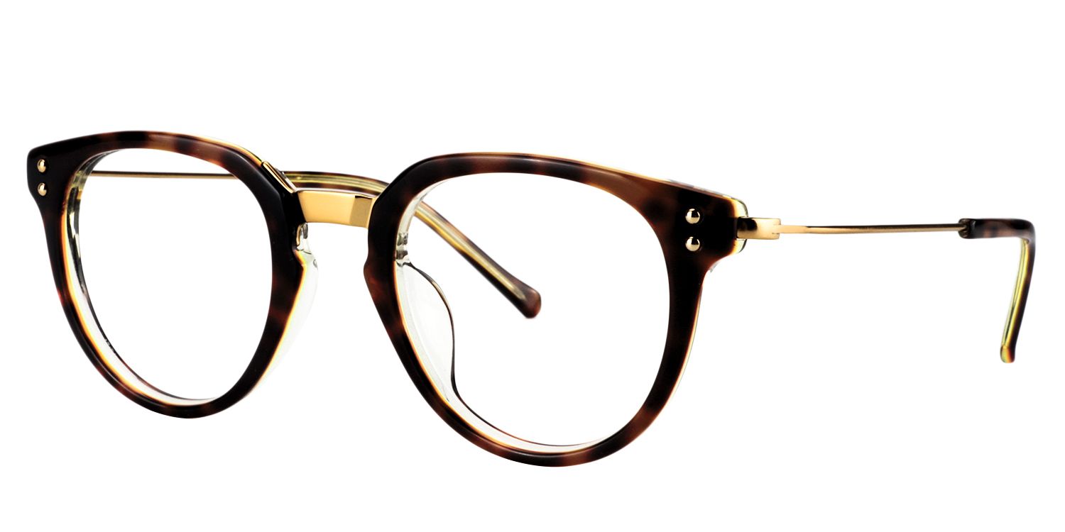 Round Tortoise Glasses | Zeelool Glasses3