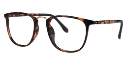 Devin Rectangle Tortoise Glasses3