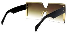 Shannon Square Brown Sunglasses4