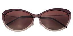  Abraham Cat-eye Brown Sunglasses1