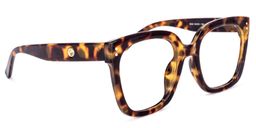 Wolfgang Square Tortoise Glasses2