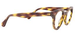 Galen Round Burnt Umber Glasses4