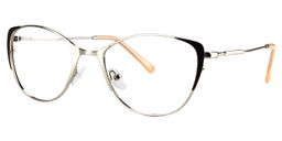 Calandra Cat eye Silver Glasses2