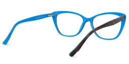 Dane Tortoise Cat Eye Glasses4