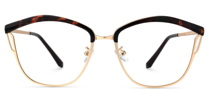Saxton Geometric Tortoise Glasses