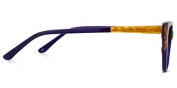 Eddie Cateye Dark-Purple Glasses3