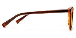 Emanuel Round Brown Glasses3