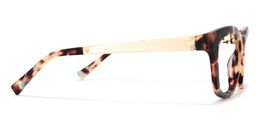 Emory Square Tortoise Glasses3