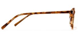 Engle Oval Brown Glasses3