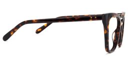 Wanda Cat Eye Tortoise Glasses3