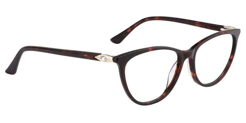 Oval Tortoise Glasses | Zeelool Eyeglasses3