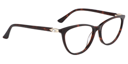 Imogene Oval Tortoise Glasses3