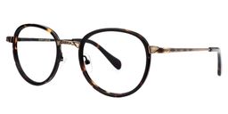 Ahern Round Tortoise Glasses3