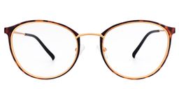 Aldrich Round Tortoise Glasses0