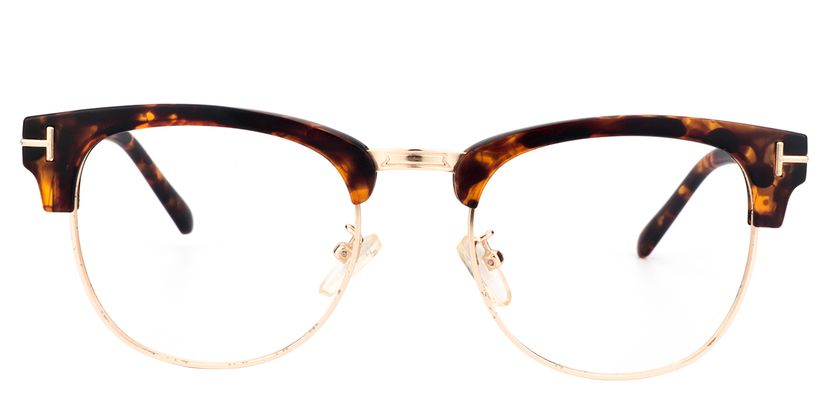 Alston Browline Tortoise Glasses