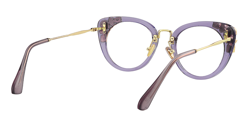 Cat Eye Purple Glasses4