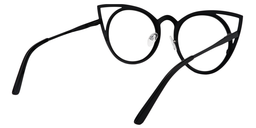 Baird Cat-eye Black Glasses5