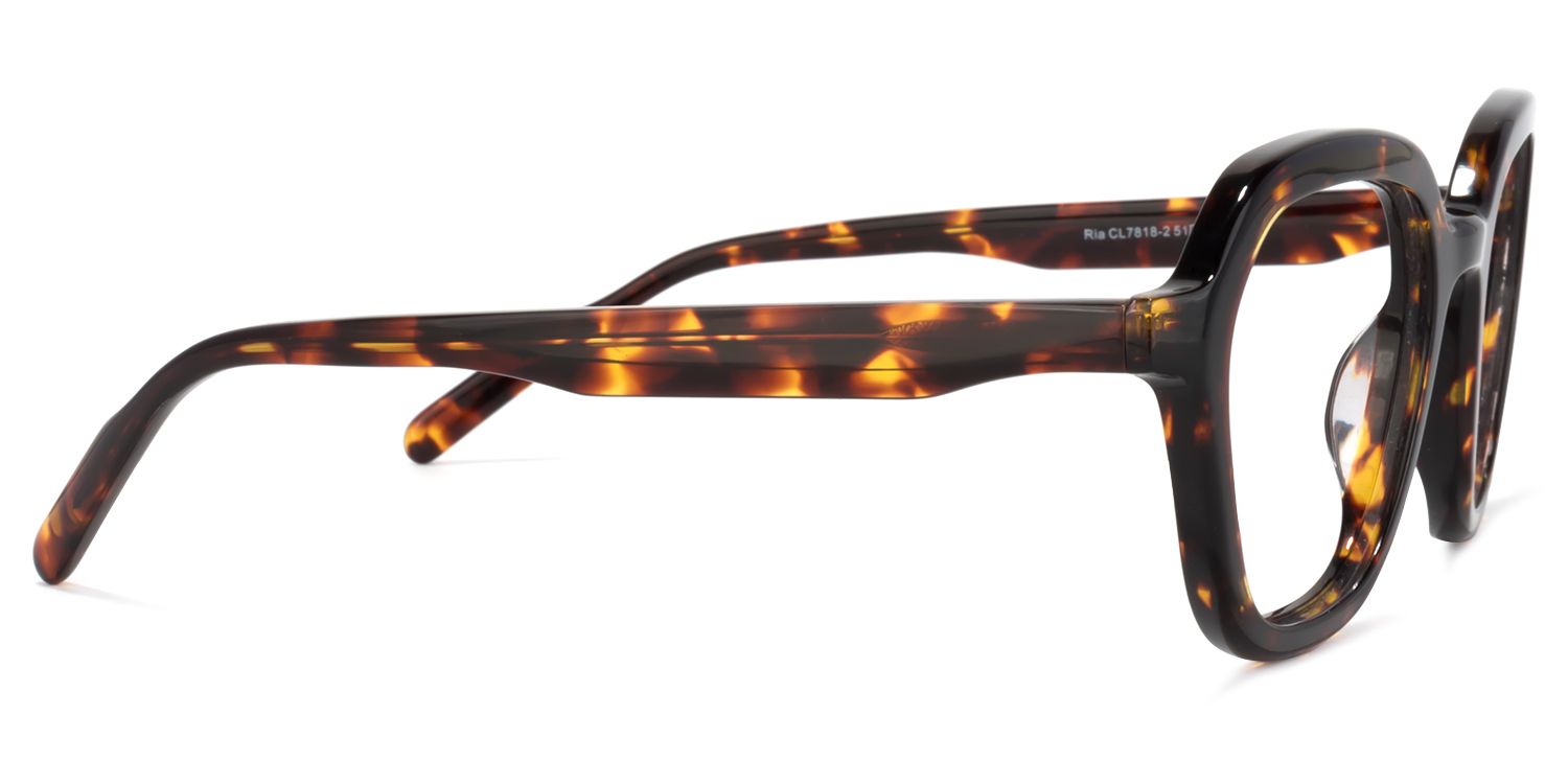 Buy Nickolas Optical Glasses and EyeWear Frames on Zeelool3