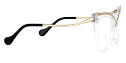 Winston Clear Butterfly Glasses3
