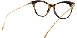 Addison Cat eye Tortoise Glasses5