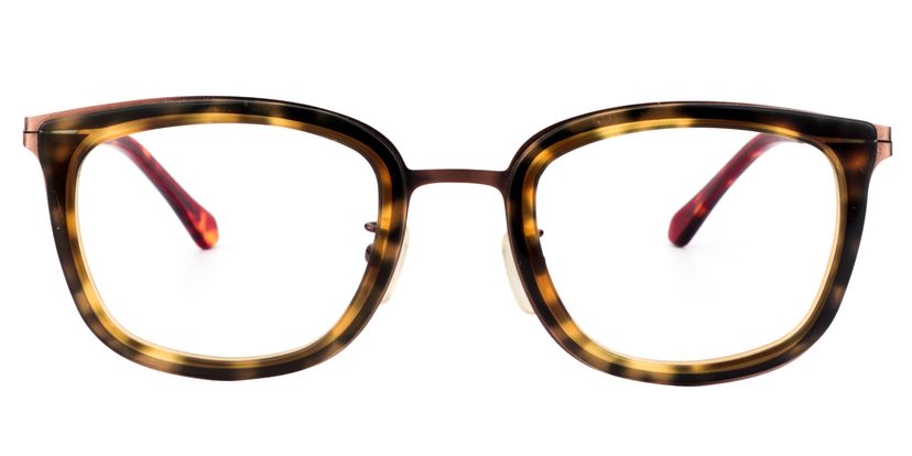 Angelo Square Tortoise Glasses 