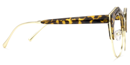 Latoya Geometric Tortoise Glasses3