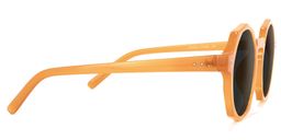 Goodwin Geometric Earthy-Yellow Sunglasses3