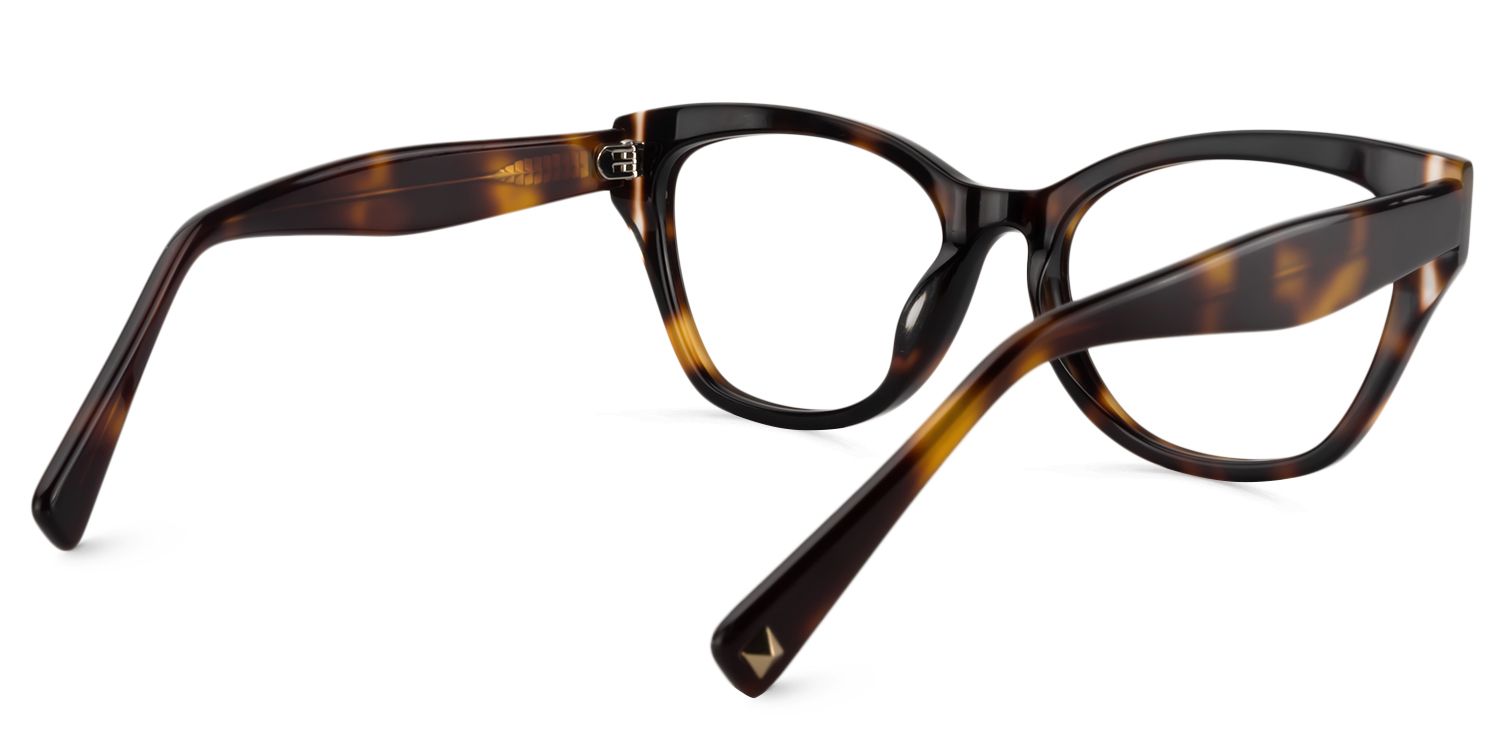 Square Tortoise Glasses | Zeelool Glasses5