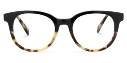 Carney Round Tortoise Glasses0