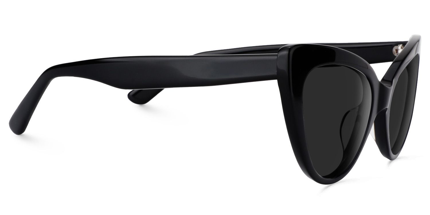 Claudette Acetate Black Cat Eye Frame Sunglasses | ZEELOOL UK2