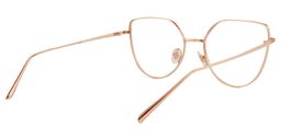 Ariel Cat Eye Gold Glasses5