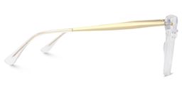 Isaebella Butterfly Clear Glasses4