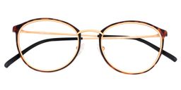Aldrich Round Tortoise Glasses1