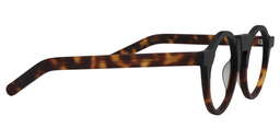 Jamie Round Tortoise-Gold Glasses4