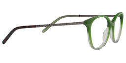Vida Oval Green Glasses 4