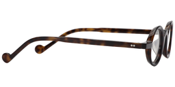 Aaron Round Tortoise Glasses4