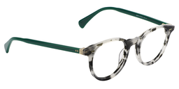 Kimberley Oval Green Tortoise Glasses4