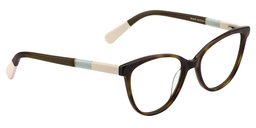 Nikita Cat Eye Brown Glasses3